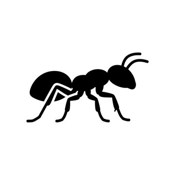 Insects ant silhouette icon for biology school study materials or pest control service advertisement and wildlife education graphics on transparent background.