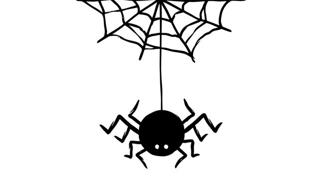 Spooky Hand Drawn Spider and Web Halloween Decoration