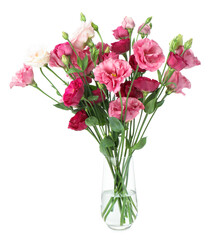 Obraz premium Beautiful pink eustoma flowers in vase isolated on white
