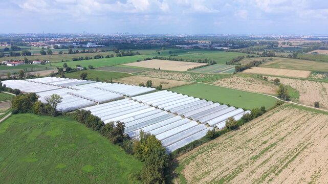 Aerial View Agricultural Greenhouses in Italy, Lombardy