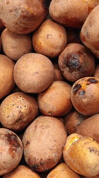 A top view close up of harvested Mangifera caesia fruits piled together. Also known as buah binjai fruit, sour fruit.