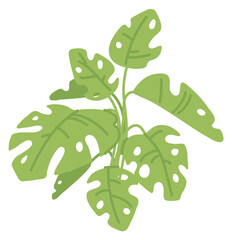 Philodendron icon. Green tropical houseplant. Indoor botany © ssstocker