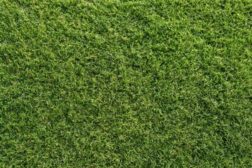 Fototapeta premium The Grass Landscape: A Close-Up of Lush Green Turf and Textured Surface