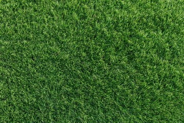 Fototapeta premium The Grass Close-Up: Lush Green Turf Texture, Dense Blades, Vibrant Surface