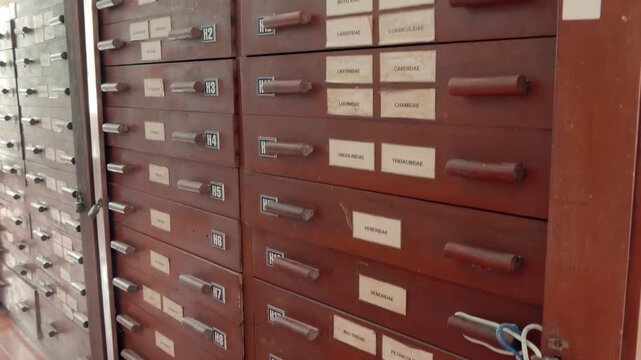 Vintage wooden card catalog features dozens of small drawers, used for organizing index cards. Closeup. Shot in motion
