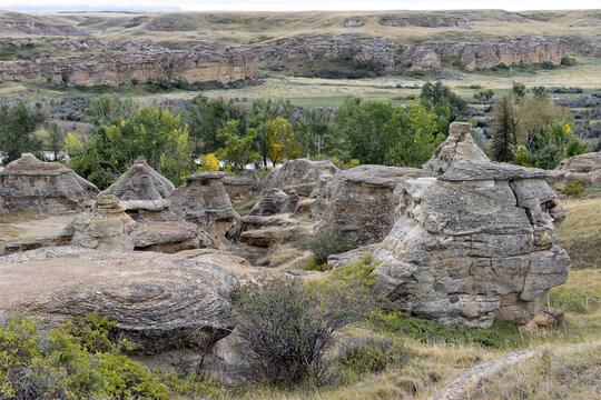 unique ancient landscape of Writing-On-Stone Provincial Park Alberta Canada