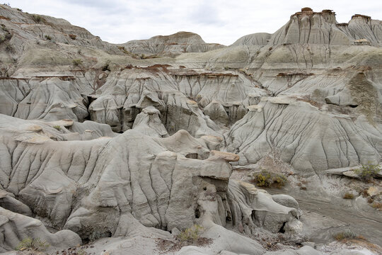 Dinosaur Provincial Park coulee trail with white stone hoodoos, unique landscapes in Alberta Canada