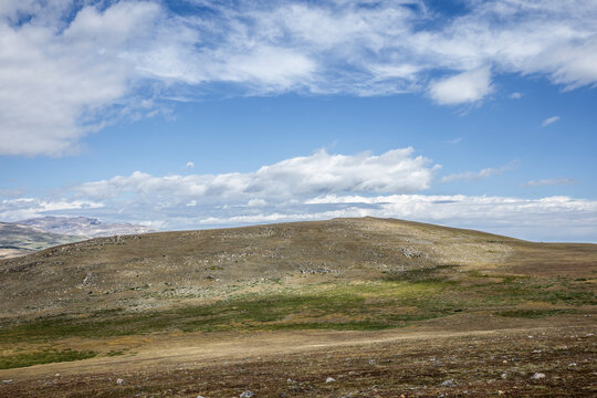 Scenic High Mountain Landscape at Beartooth Pass Under Clear Blue Skies, Montana, USA