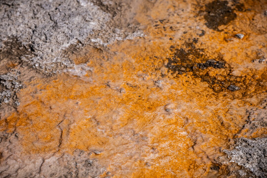 Colorful Mineral Formations Around Geothermal Springs in Yellowstone National Park, USA