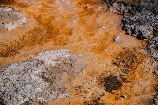 Colorful Mineral Formations Around Geothermal Springs in Yellowstone National Park, USA