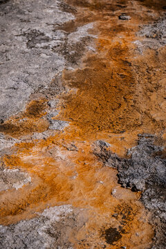 Colorful Mineral Formations Around Geothermal Springs in Yellowstone National Park, USA