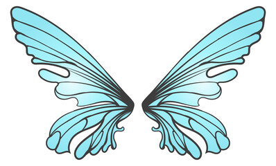 Obraz premium Fairy wings pair. Fairytale creature magic wings