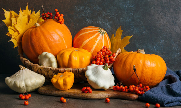 Autumn composition for Thanksgiving Day, still life background. Pumpkin harvest in basket, vegetables, patissons, autumn leaves, red berries on wooden table. Fall decoration design. Banner.