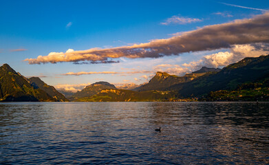 Fototapeta premium Swiss mountain lake beneath cumulus clouds. Swiss Alps cloudscape over Lake Lucerne. Summer tourism with Swiss alpine mountain views. Moody landscape with Swiss lakeside nature.