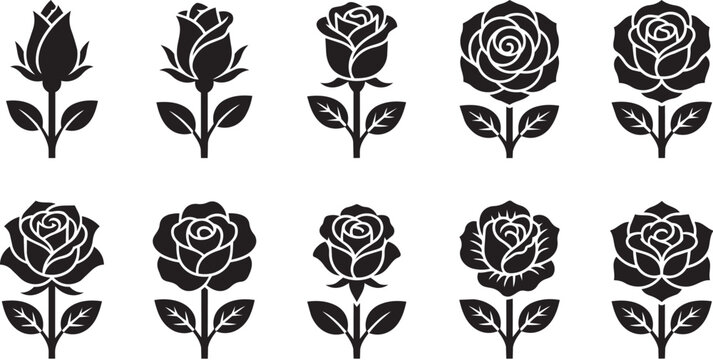 Black and white rose icons vector collection representing various blooming stages for floral design