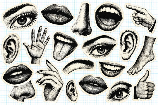 Retro Halftone Body Parts Collage Set, Y2K Vintage Paper CutoutsLips, Eyes, Noses and Hands with Torn Paper Newspaper Texture