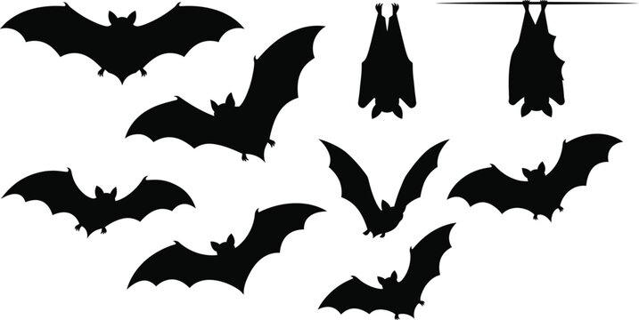 Collection of black bat silhouettes in various flying and hanging poses