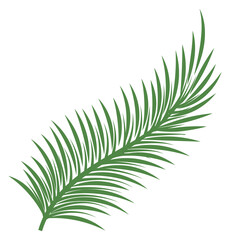 Fern branch. Forest herb icon. Summer plant © vectortatu