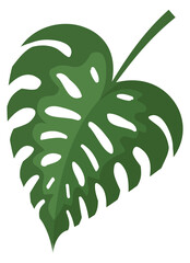 Tropical botany element. Monstera foliage. Green flora © vectortatu