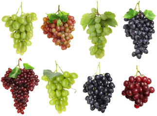 Obraz premium Grapes of different varieties. Bunches isolated on white, set