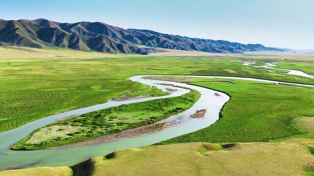 High angle view of a meandering river flowing through vibrant green grasslands at Bayanbulak Prairie in Xinjiang, China, under a bright blue sky.