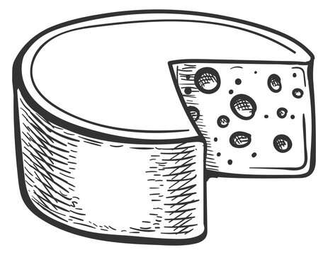 Cheese wheel cut engraving. Swiss maasdam icon
