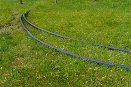 Long black plastic utility hoses lying on green grass lawn in public park. Landscape maintenance and construction. Real Photo