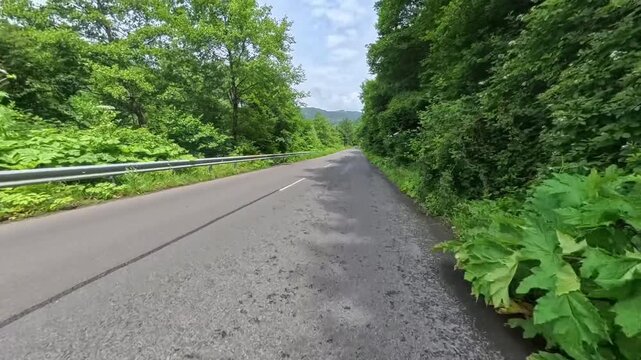 First-person POV driving shot on an asphalt mountain road passing lush green forest hills with a oncoming white car and dramatic cloud formations overhead.