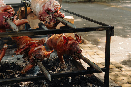 Whole pigs roast on spits over charcoal at an outdoor food event. Traditional barbecue scene for gastronomy, catering, tourism and food promotion.