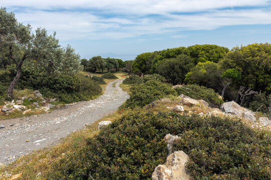 Rural track near Megali Ammos on Alonissos, Greece