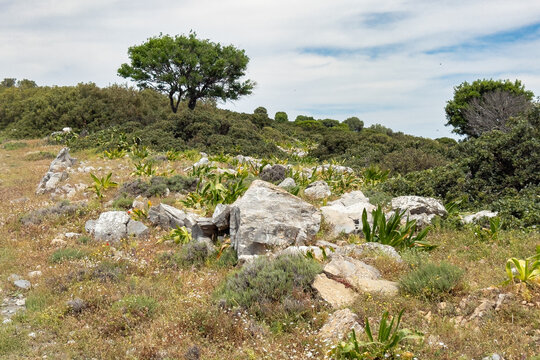Rural track near Megali Ammos on Alonissos, Greece