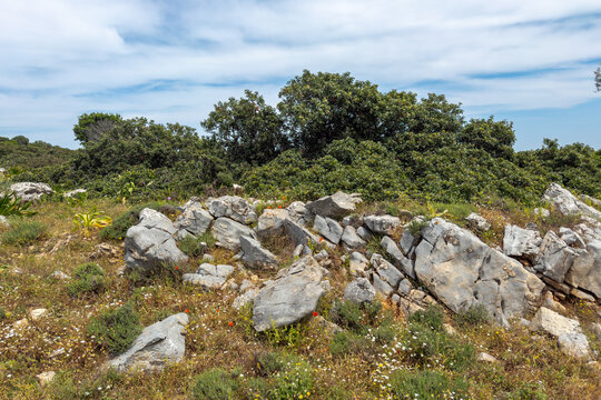 Rural track near Megali Ammos on Alonissos, Greece