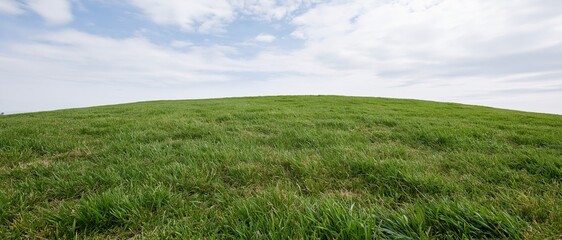 Obraz premium Wide view of a green grassy hill under a cloudy sky stretching to the horizon
