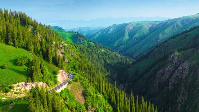 Scenic mountain road curves through a sunlit alpine valley of dense conifer forest and vivid green slopes in Xinjiang, China.