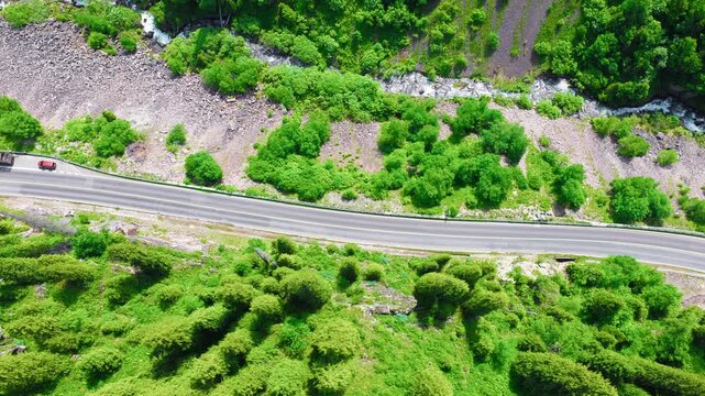 High angle top down aerial view of an asphalt mountain road winding through a lush green pine forest beside a rocky riverbed in Xinjiang.