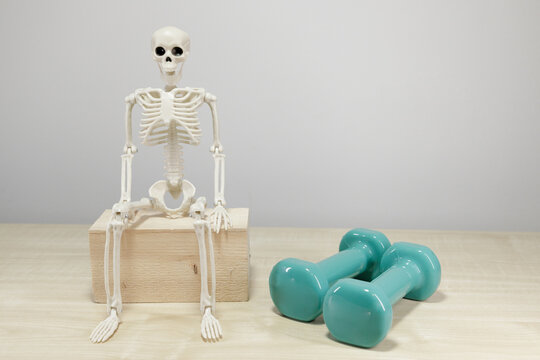 Skeleton Figure Beside Dumbbells for Bone Health Concept