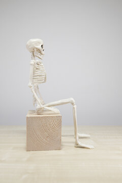 Side View of Seated Skeleton Figure With Copy Space