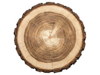 Obraz premium Natural round wooden log slice with tree rings showing rustic brown bark texture detail