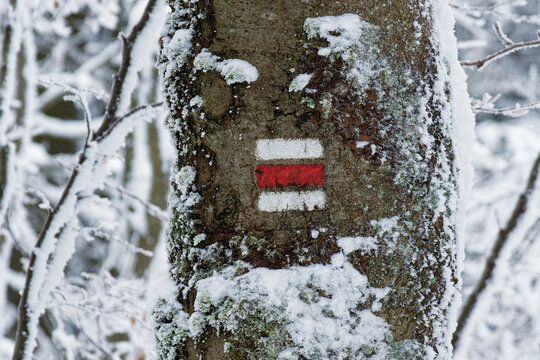 Red and white tourist trail marker painted on mossy, lichen-covered tree trunk dusted with fresh snow, Czech hiking waymark sign in winter forest, trail blaze for hikers, outdoor recreation photo