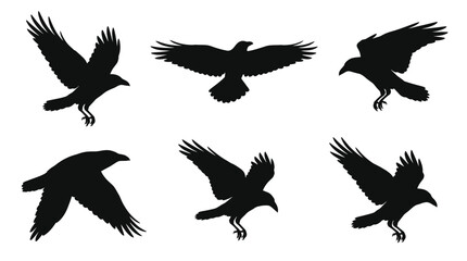 Obraz premium Majestic black crow silhouettes in various flying positions isolated on a white background for professional graphic design and creative projects