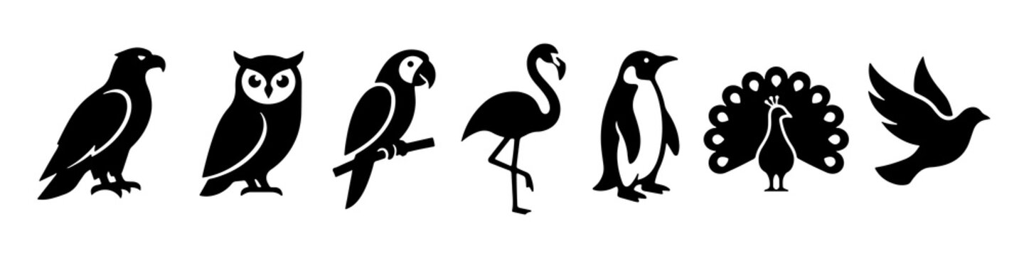 Set of black bird silhouettes in flat vector style