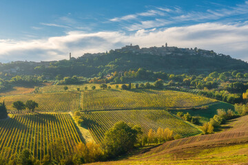 Obraz premium Montepulciano Hilltop Town and Vineyards View, Tuscany
