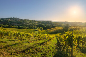 Obraz premium San Gimignano Morning Vineyards View, Tuscany
