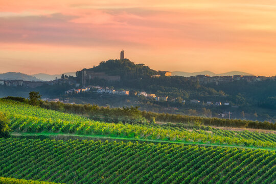 San Miniato Hilltop Town View and Cerreto Guidi Vineyards