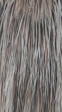 Close up view of a tiki hut's thatched roof made from dried palm leaves. The natural straw material moves gently in the breeze