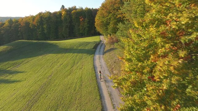 AERIAL: Young woman cycling along a winding gravel road between green meadow and colorful autumn forest. Warm golden light highlights the rolling hills and peaceful countryside in Dolenjska, Slovenia.