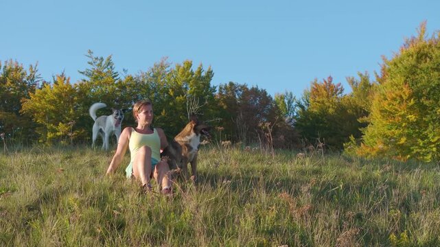 CLOSE UP, PORTRAIT, AERIAL: Cheerful woman rests in grassy meadow with two mixed breed dogs after outdoor activity. Relaxation in nature in the embrace of warm sunlight and colourful autumn woodland