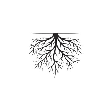 Minimalist black and white illustration of tree roots spreading downwards from a horizontal line.