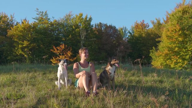 CLOSE UP, PORTRAIT, AERIAL: Smiling dog owner sits comfortably between two relaxed dogs in sunny meadow. Golden autumn trees fill the background as they rest after outdoor recreation in late afternoon