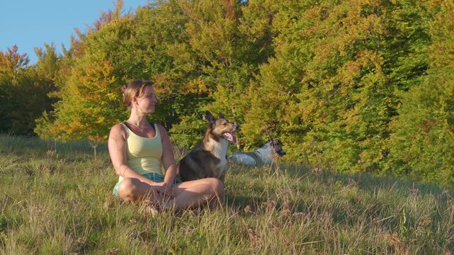 CLOSE UP, PORTRAIT, AERIAL: Young woman sits crosslegged in tall meadow grass with two obedient dogs nearby, enjoying a quiet pause in warm autumn light. Relaxation in the embrace of colorful woodland